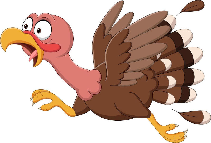 Turkey time Turkey time