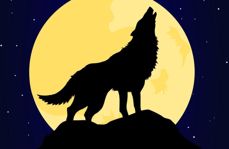 Hungry Like a Wolf Hungry Like a Wolf