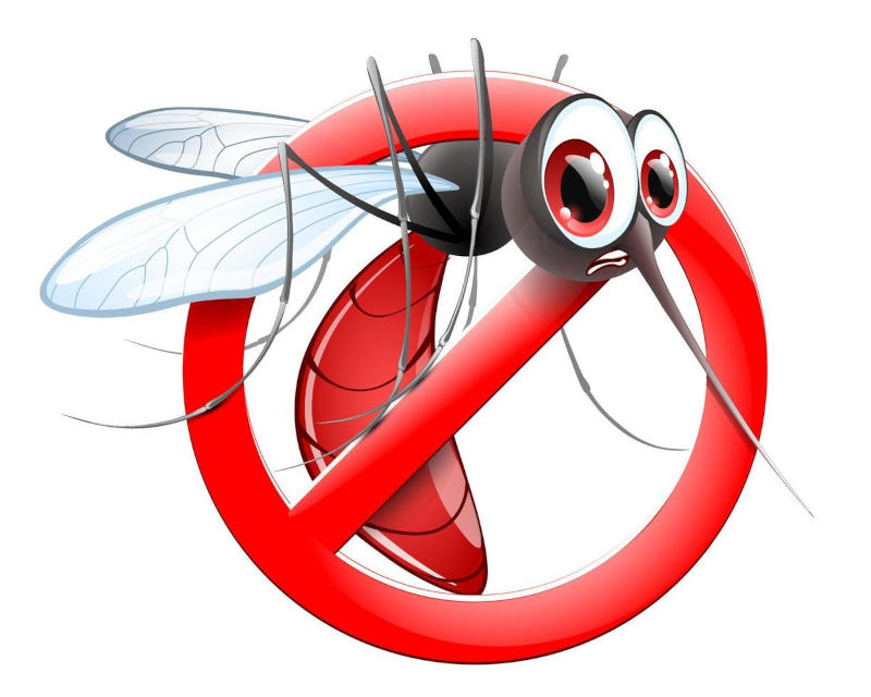 no no no! neato-mosquito not mosquito-mosquito! no no no! neato-mosquito not mosquito-mosquito!