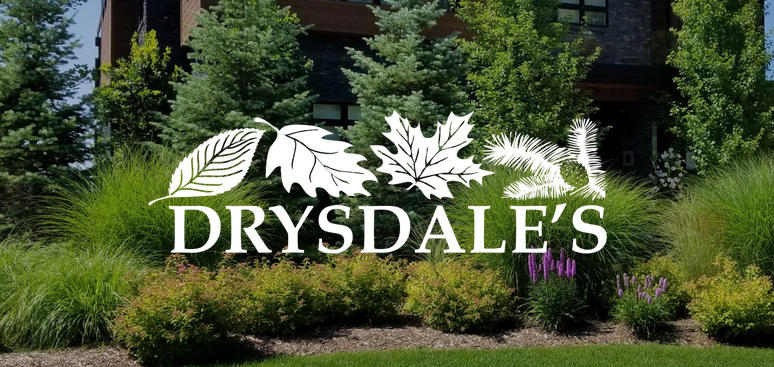 Drysdales Drysdales