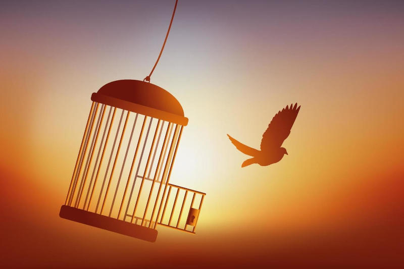 Freedom? Freedom?
