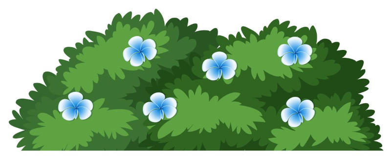 A better bush A better bush