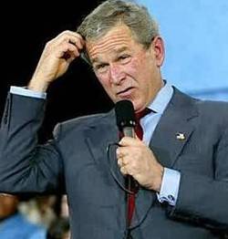 big winner yesterday โ at the World Stupidity Awards big winner yesterday โ at the World Stupidity Awards