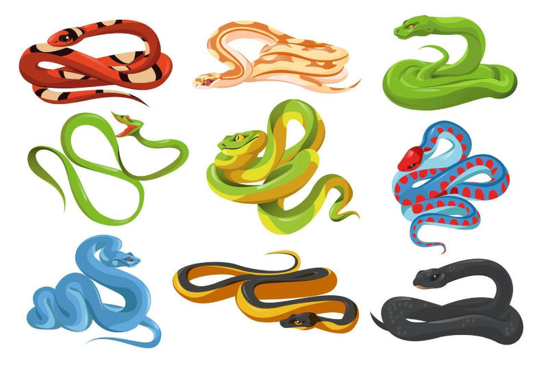 *sticks to snakes!* *sticks to snakes!*