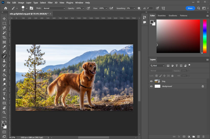 Photoshop Photoshop