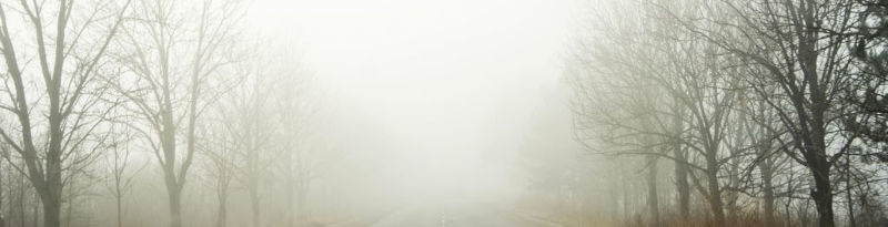 got fog? got fog?