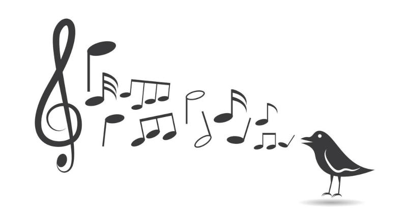 Lyrics Lyrics