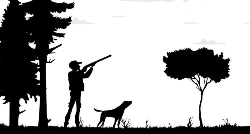 Dog will hunt! Dog will hunt!