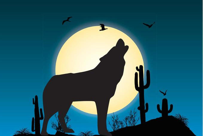 Arooooo Arooooo
