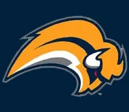 Sabres new logo? Sabres new logo?
