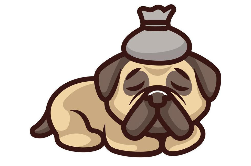 Sick dog ๐ Sick dog ๐