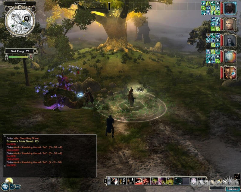 Neverwinter Nights 2 Neverwinter Nights 2