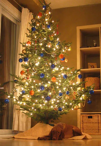 Phew, putting up a tree is tiringโฆ Phew, putting up a tree is tiringโฆ