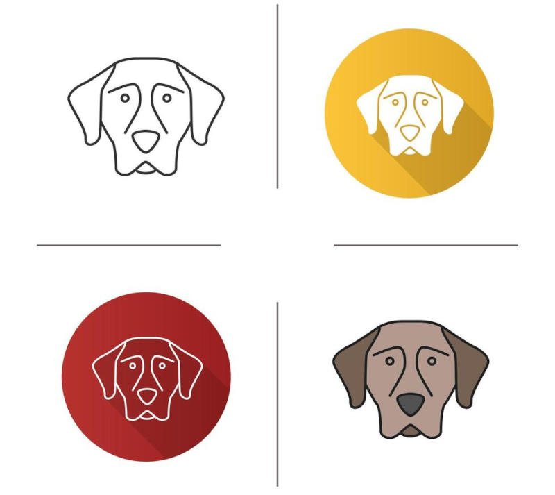 Vizslas Vizslas