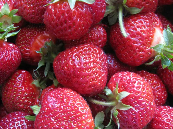 Yummy! Yummy!