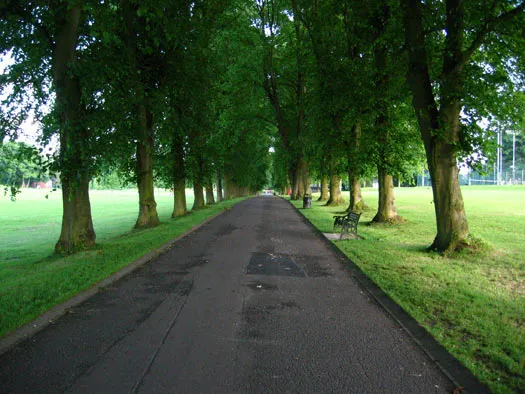 Tree lined walkway in Lurgan Park Tree lined walkway in Lurgan Park