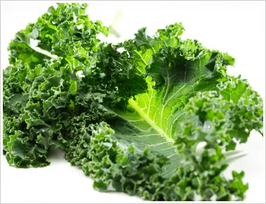 OOO kale! WOWโฆ ๐ OOO kale! WOWโฆ ๐