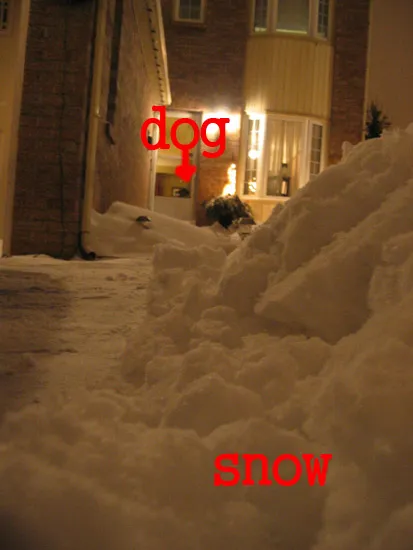 Ahh, yes… Another snowfall….
Ahh, yes… Another snowfall….
