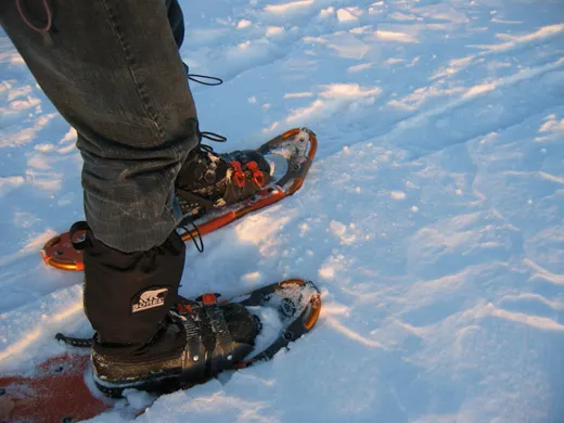 Snowshoeing?