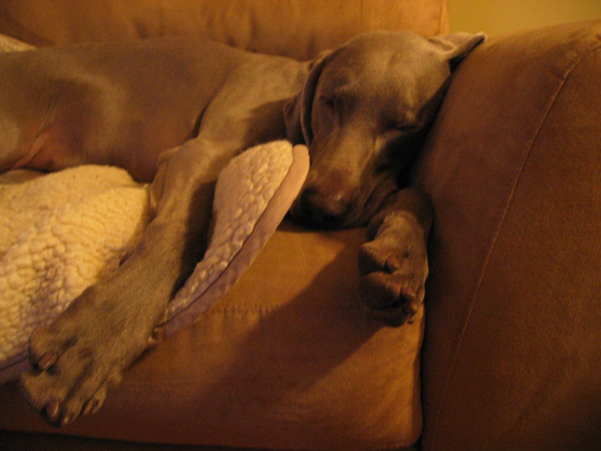 Zzzzz. Zzzzz.