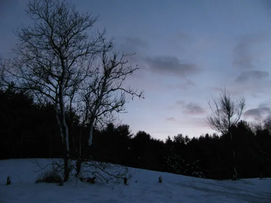 Capture from Palgrave Forest (notice the stars!) Capture from Palgrave Forest (notice the stars!)