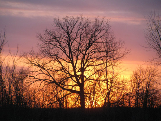Beautiful orange sunsetโฆ Beautiful orange sunsetโฆ