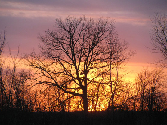 Beautiful orange sunset…