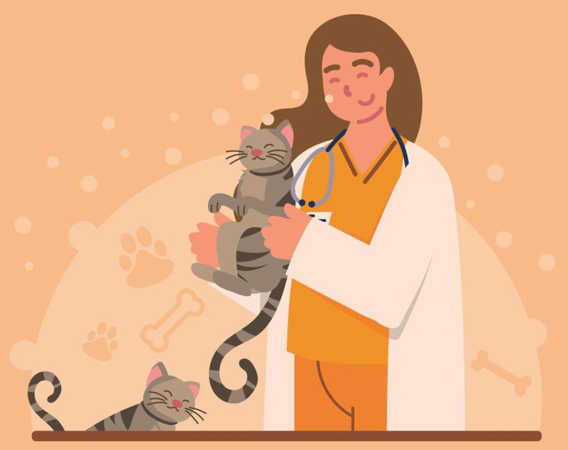 Vet visit Vet visit