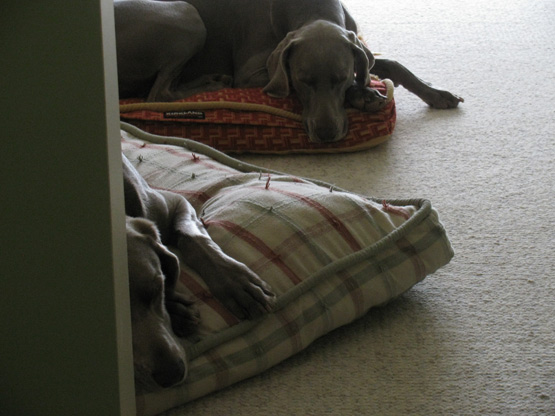 Sleeping. Finally. Sleeping. Finally.