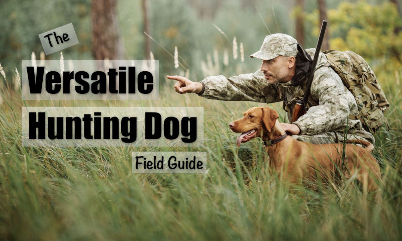 Dog will hunt Dog will hunt