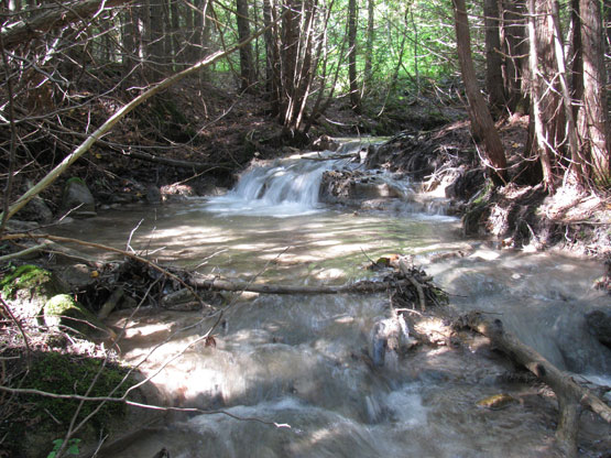 A beautiful beeless stream. A beautiful beeless stream.