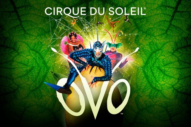 Ovo (Cirque du Soleil) Ovo (Cirque du Soleil)