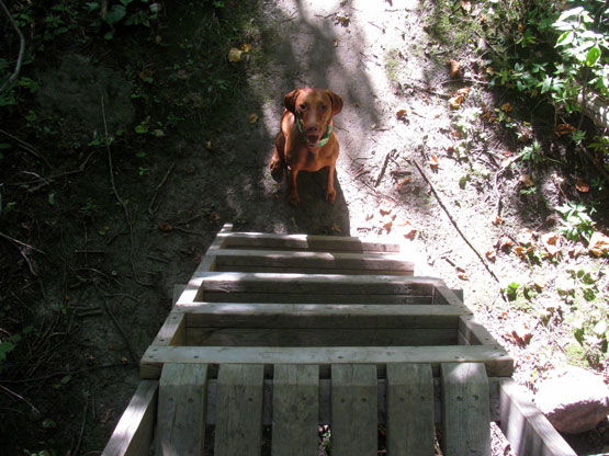 I can climb it! I can climb it!