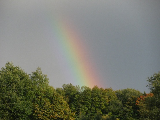 The photo sadly doesn’t do justice to the vivid bright colours this rainbow had…