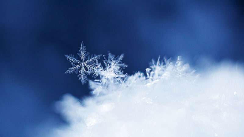 Snow? Snow?