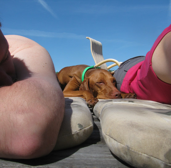 Awww. Zzzz. Awww. Zzzz.