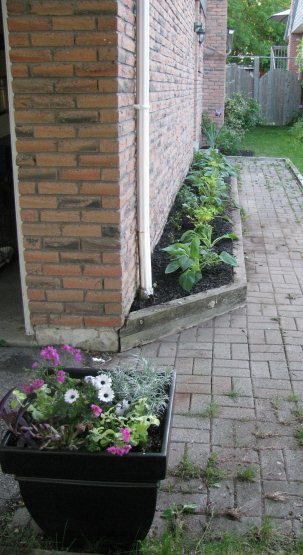 More gardens! More gardens!
