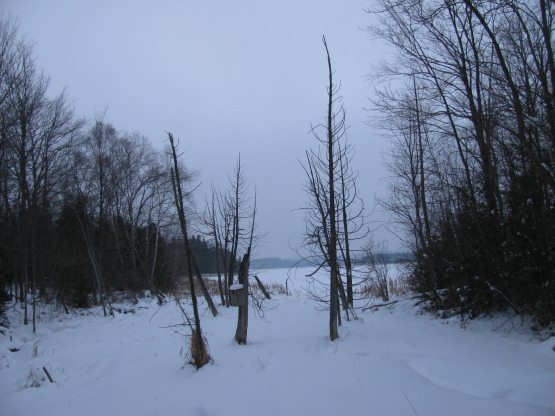 Skiing in Orangeville.