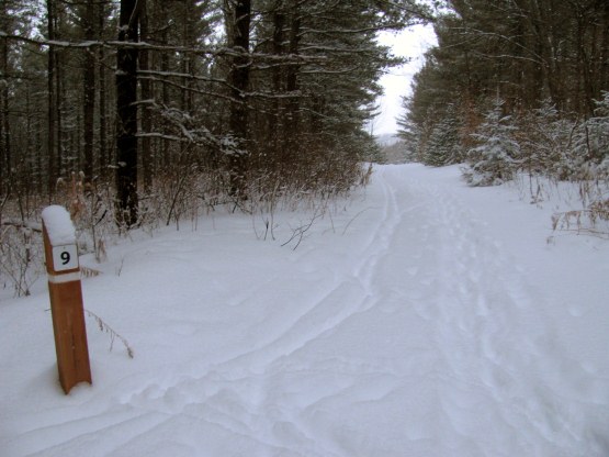Snowshoeing! Snowshoeing!