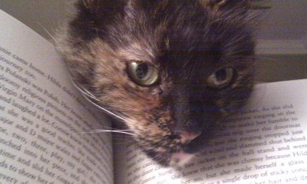Hello! You weren’t reading were you? Hello! You weren’t reading were you?