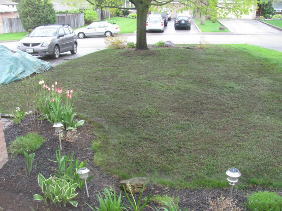 Our lovely pile of dirt. Our lovely pile of dirt.