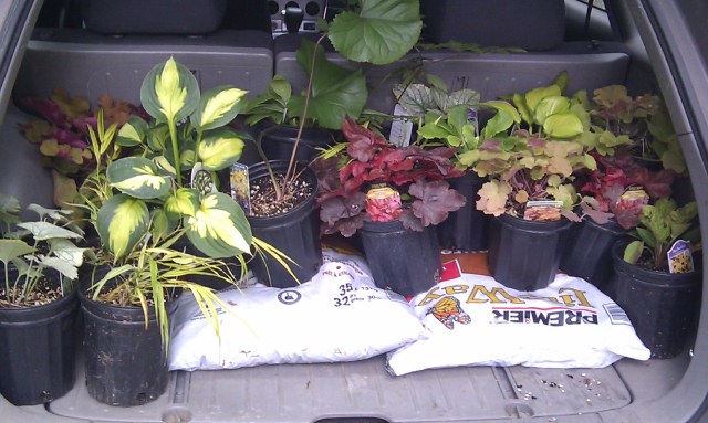 new plants