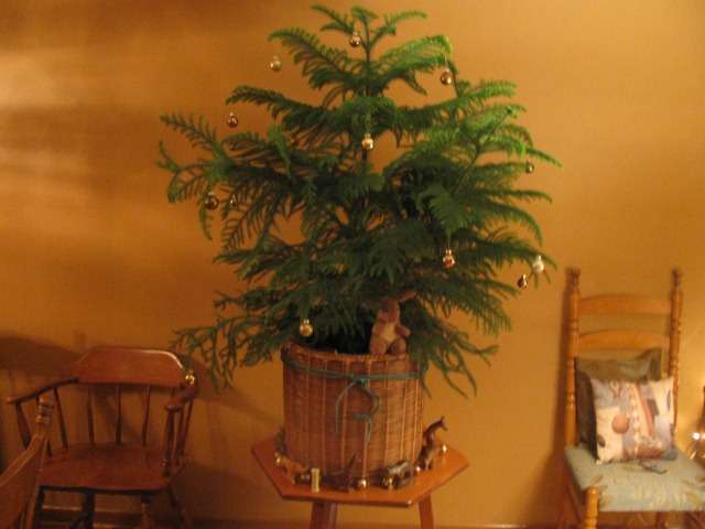 Mom's tree Mom's tree