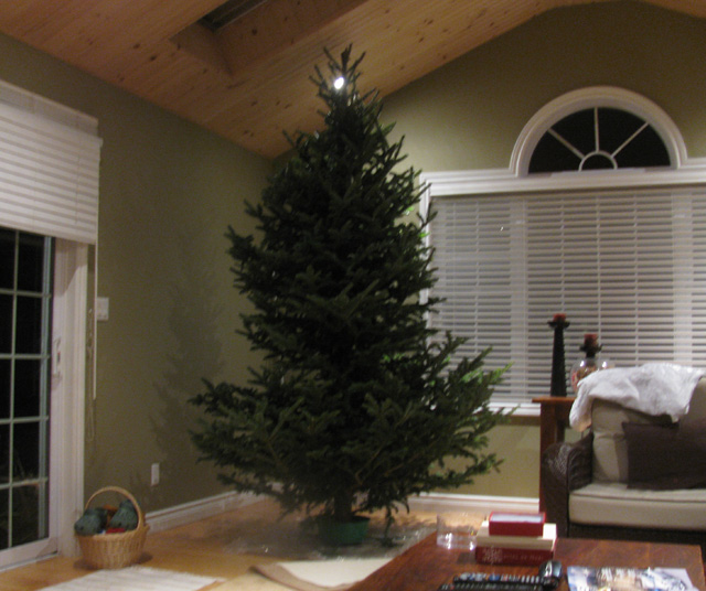 Monster tree Monster tree