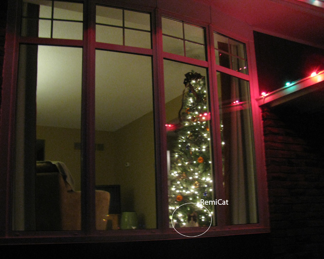 Outside view of the Christmas tree Outside view of the Christmas tree