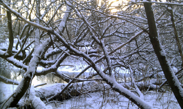 Finally some snow Finally some snow