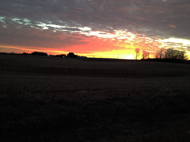 Sunset Sunset