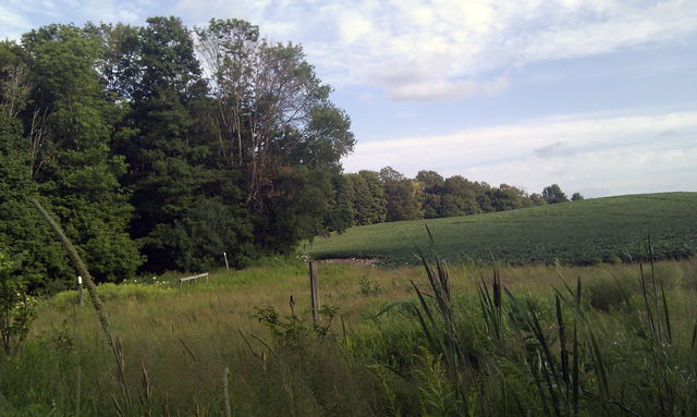 lovely section of the trail