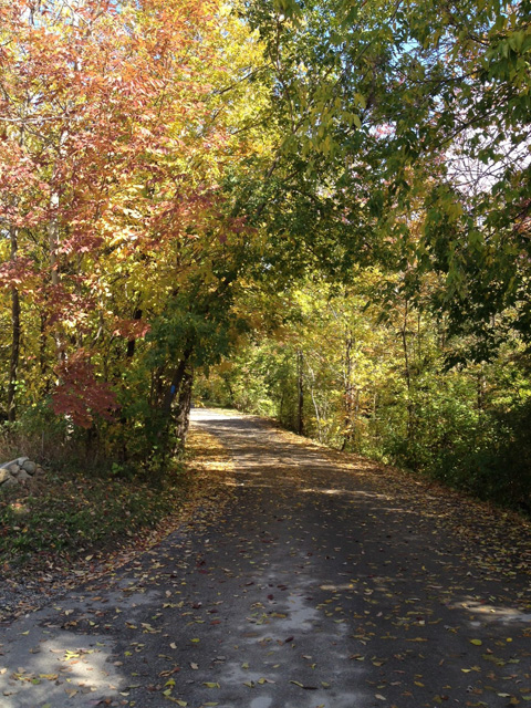 The road into the Mill - Our wedding venue The road into the Mill - Our wedding venue