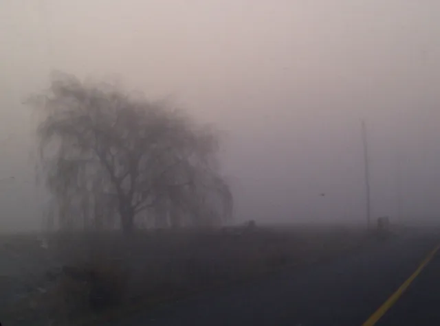 Foggy day Foggy day